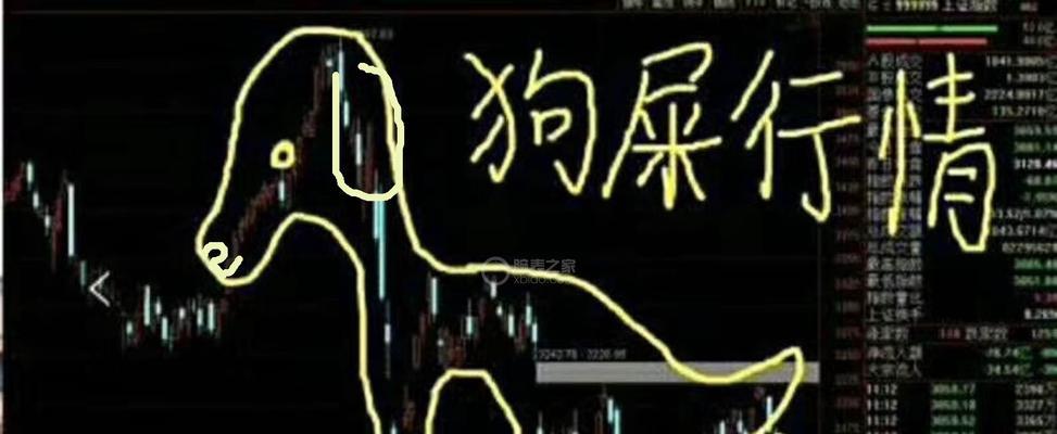 《以地下城堡2》无情的谢佛攻略（如何挑战无情的谢佛，成为地下城堡2的赢家？）