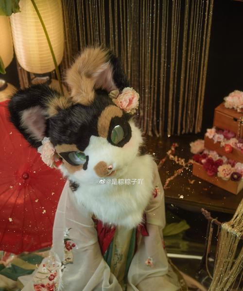 恶魔巫师出装教程攻略大全（全方位解析恶魔巫师的最佳装备选择和技能搭配）