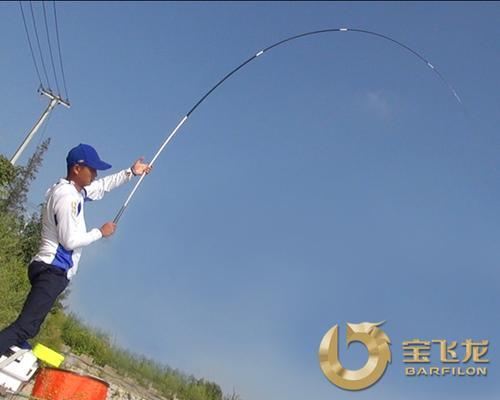 全面攻略龙腾鲤二代，成为顶级玩家！（从零到顶级，助你稳步成长！）