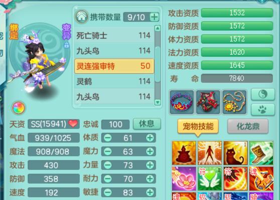 以神武攻坚宠物技能搭配攻略（掌握关键技能，打造无敌宠物团队）