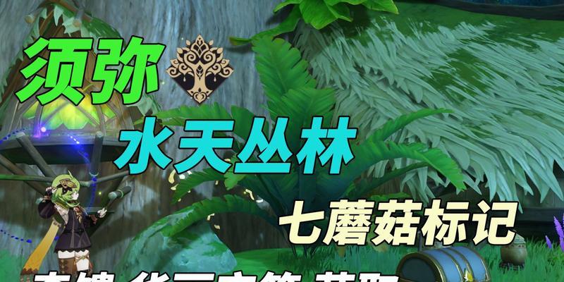 原神丛林小宝任务攻略（揭开丛林神秘面纱，解锁无尽宝藏！）