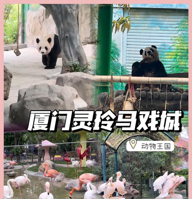 厦门自驾游攻略（畅游厦门，尽享自驾之趣）
