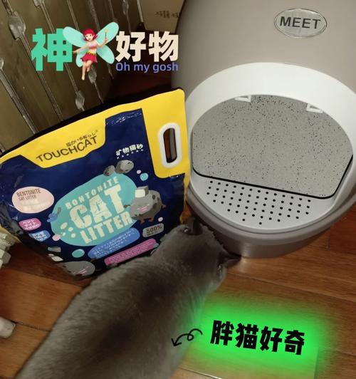 原神神心猫砂攻略（探索全新玩法，揭秘原神中的神秘之谜！）