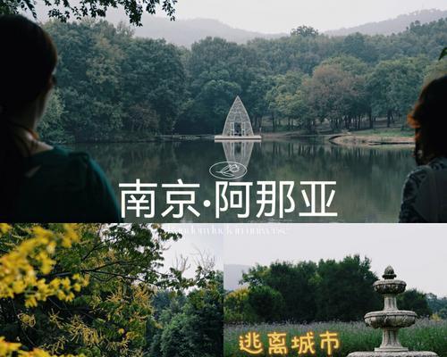 逃离城市公园游戏攻略（一场刺激与惊险并存的冒险之旅）