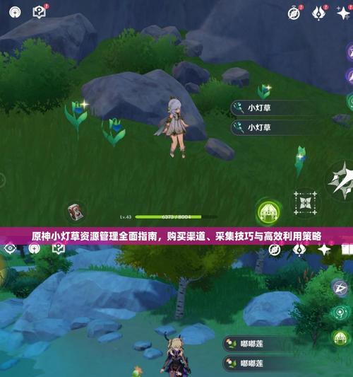 原神闯关策略攻略（实用技巧助你轻松通关，探索全新冒险世界）