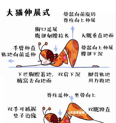 以瑜伽大姐姐游戏攻略（拥抱自我成长，释放压力，找回内心平衡与和谐）